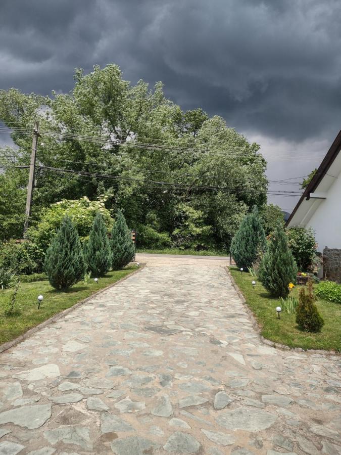 Pensiunea Codruta Cărpinişu Εξωτερικό φωτογραφία