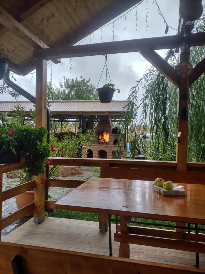 Pensiunea Codruta Cărpinişu Εξωτερικό φωτογραφία